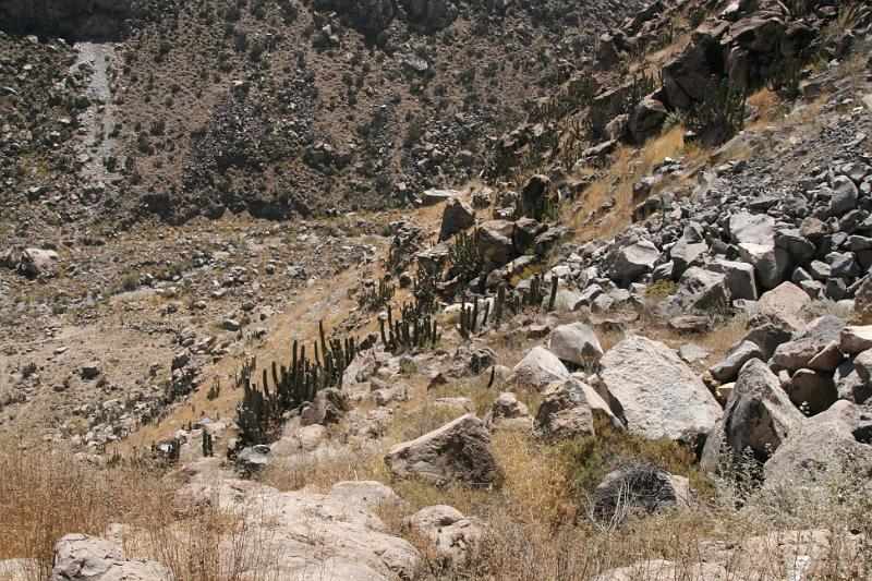 Peru 0627